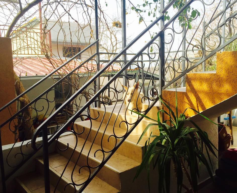 Apartmani Peric Бар Экстерьер фото